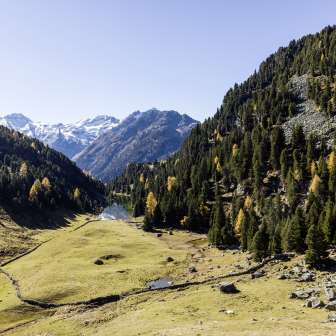 The Lai Lung in the Herbt