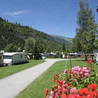 Caming Andeer in summer