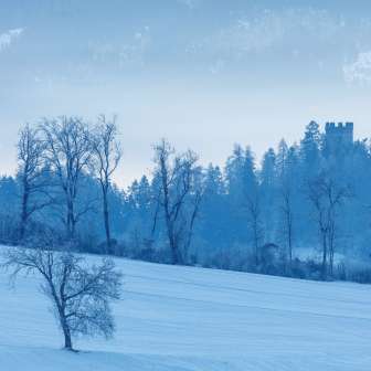 New Sins / Canova castle ruins