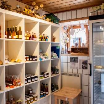 The Stizunetta Feldis