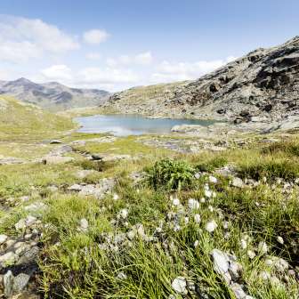 Upper Schwarzsee above the Madrisa Valley in the Avers