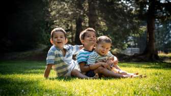 Three children are sitting in a sunny meadow at the edge of the forest.