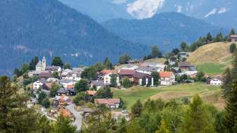 Feldis in summer