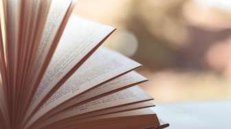 Reading (pixabay)