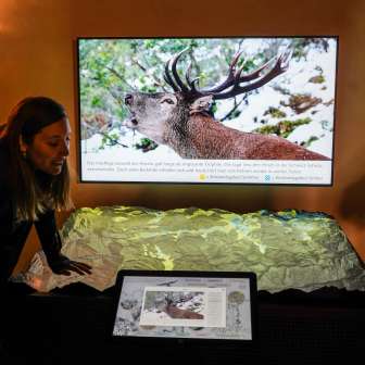 Interactive relief Splügen