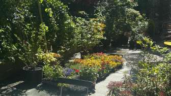 Rothenbrunnen spa gardens right in the middle (2026)