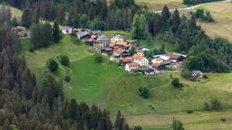 Portein in summer