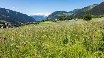 Pratval in spring Pratval in spring