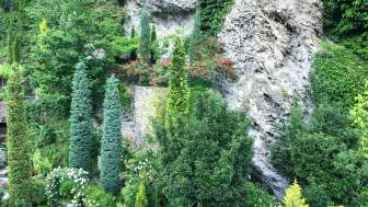 Guided tours of the Rothenbrunnen spa garden Guided tours of the Rothenbrunnen spa garden