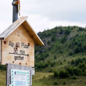 Signposting to Alp dil Plaun on the Feldis plateau