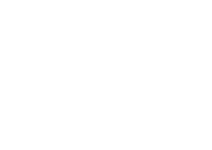 viaSpluga Anniversary Logo